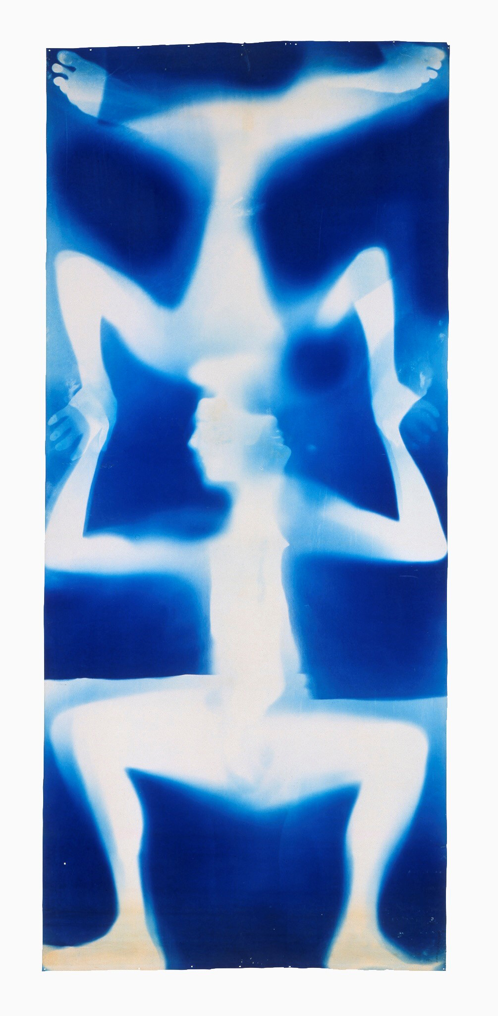 Rauschenberg in London PROVOKR